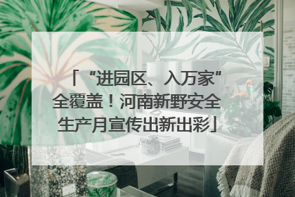“进园区、入万家”全覆盖！河南新野安全生产月宣传出新出彩