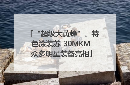 “超级大黄蜂”、特色涂装苏-30MKM 众多明星装备亮相