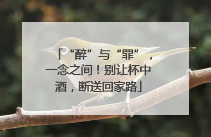 “醉”与“罪”，一念之间！别让杯中酒，断送回家路