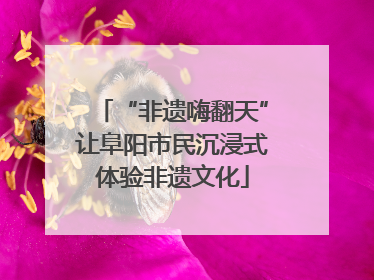 “非遗嗨翻天”让阜阳市民沉浸式体验非遗文化