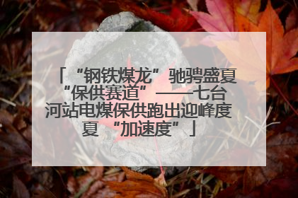 “钢铁煤龙”驰骋盛夏 “保供赛道”——七台河站电煤保供跑出迎峰度夏 “加速度”