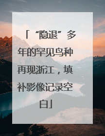 “隐退”多年的罕见鸟种再现浙江，填补影像记录空白