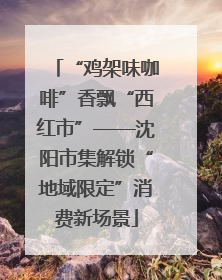“鸡架味咖啡”香飘“西红市”——沈阳市集解锁“地域限定”消费新场景