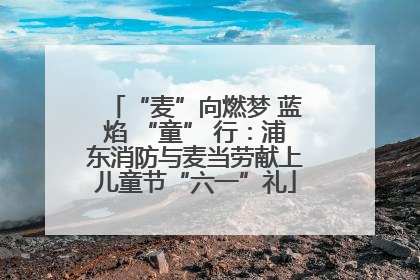 “麦”向燃梦 蓝焰 “童” 行：浦东消防与麦当劳献上儿童节“六一”礼