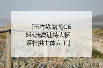 玉岑铁路跨G65包茂高速特大桥系杆拱主体完工