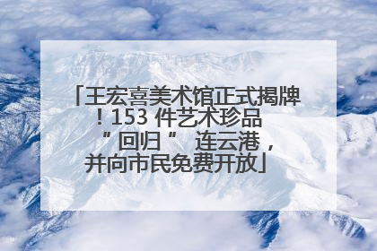 王宏喜美术馆正式揭牌！153 件艺术珍品 “ 回归 ” 连云港，并向市民免费开放