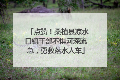 点赞！桑植县凉水口镇干部不惧河深流急，勇救落水人车