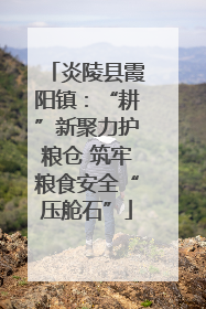 炎陵县霞阳镇：“耕”新聚力护粮仓 筑牢粮食安全“压舱石”