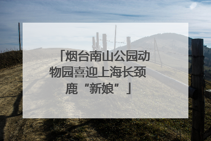 烟台南山公园动物园喜迎上海长颈鹿“新娘”