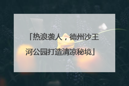 热浪袭人，德州沙王河公园打造清凉秘境