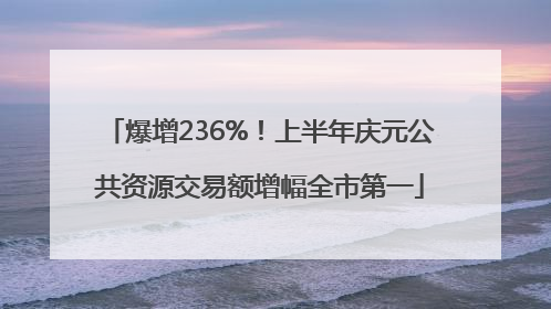 爆增236%！上半年庆元公共资源交易额增幅全市第一