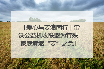 爱心与麦浪同行｜雷沃公益机收联盟为特殊家庭解燃“麦”之急