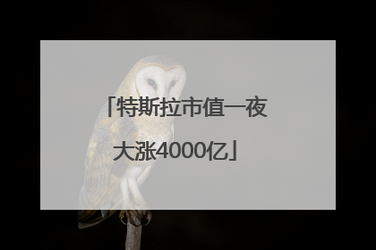 特斯拉市值一夜大涨4000亿