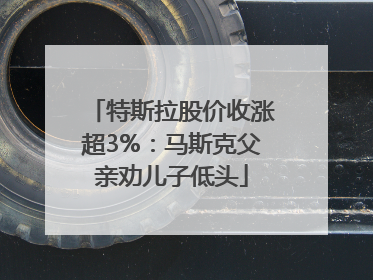 特斯拉股价收涨超3%：马斯克父亲劝儿子低头