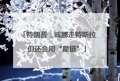特朗普：或挪走特斯拉 但还会用“星链”