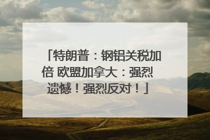 特朗普：钢铝关税加倍 欧盟加拿大：强烈遗憾！强烈反对！