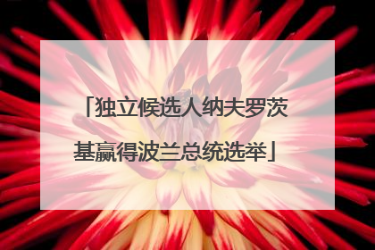 独立候选人纳夫罗茨基赢得波兰总统选举