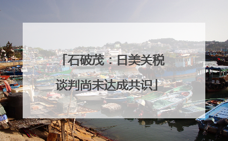 石破茂：日美关税谈判尚未达成共识