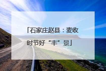 石家庄赵县：麦收时节好“丰”景