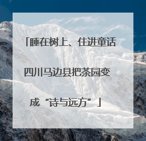 睡在树上、住进童话 四川马边县把茶园变成“诗与远方”