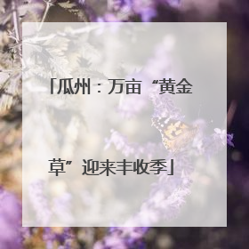 瓜州：万亩“黄金草”迎来丰收季