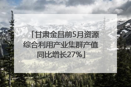 甘肃金昌前5月资源综合利用产业集群产值同比增长27%