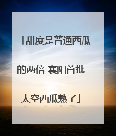 甜度是普通西瓜的两倍 襄阳首批太空西瓜熟了