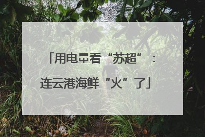 用电量看“苏超”：连云港海鲜“火”了