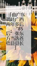 由广东调赴广西两年多后，“85后”张东方当选苍梧县县长
