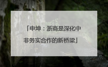 申坤：浙商是深化中非务实合作的新桥梁