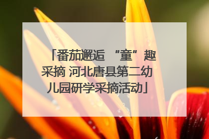 番茄邂逅 “童”趣采摘 河北唐县第二幼儿园研学采摘活动