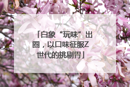白象“玩味”出圈，以口味征服Z世代的挑剔胃