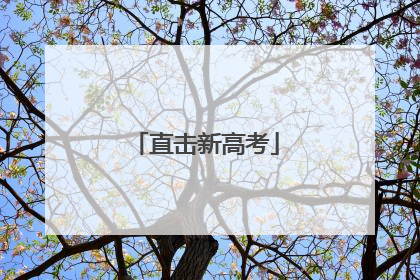 直击新高考