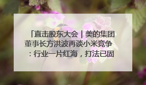 直击股东大会｜美的集团董事长方洪波再谈小米竞争：行业一片红海，打法已固定，无论谁胜都是消耗战