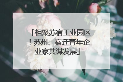 相聚苏宿工业园区！苏州、宿迁青年企业家共谋发展