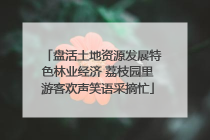 盘活土地资源发展特色林业经济 荔枝园里游客欢声笑语采摘忙