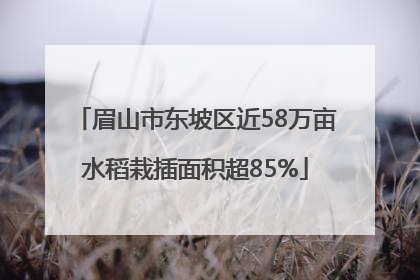 眉山市东坡区近58万亩水稻栽插面积超85%