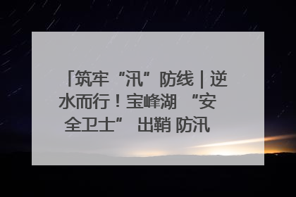 筑牢“汛”防线｜逆水而行！宝峰湖 “安全卫士” 出鞘 防汛应急再添硬核力量