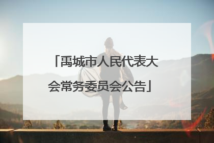 禹城市人民代表大会常务委员会公告