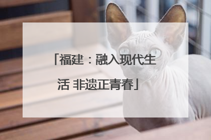 福建：融入现代生活 非遗正青春