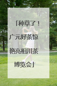 种草了！广元好茶惊艳亮相川茶博览会