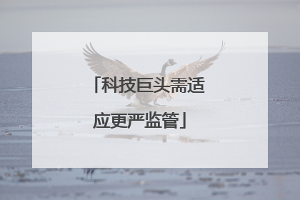 科技巨头需适应更严监管