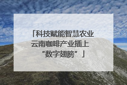 科技赋能智慧农业 云南咖啡产业插上“数字翅膀”