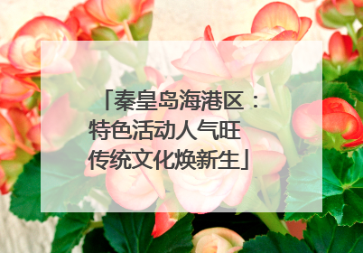 秦皇岛海港区：特色活动人气旺 传统文化焕新生