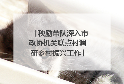 秧励带队深入市政协机关联点村调研乡村振兴工作