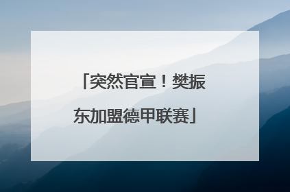突然官宣！樊振东加盟德甲联赛