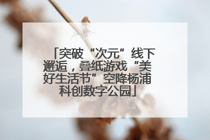 突破“次元”线下邂逅，叠纸游戏“美好生活节”空降杨浦科创数字公园