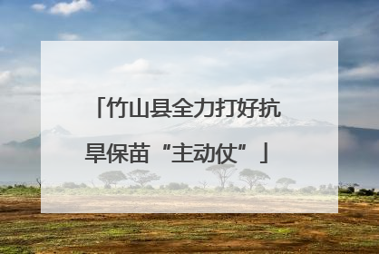 竹山县全力打好抗旱保苗“主动仗”