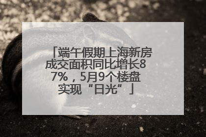端午假期上海新房成交面积同比增长87%，5月9个楼盘实现“日光”