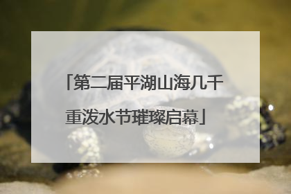 第二届平湖山海几千重泼水节璀璨启幕